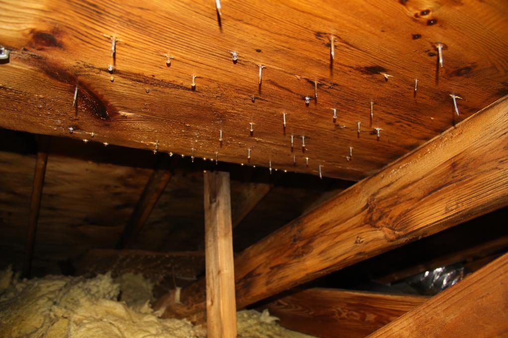 Condensation forming on roofing nails in a Maryland attic